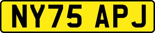 NY75APJ