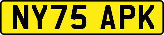 NY75APK