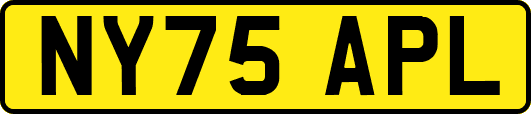 NY75APL