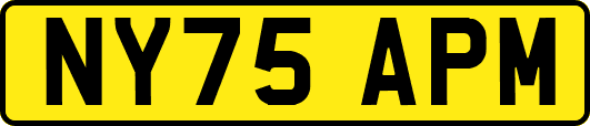 NY75APM