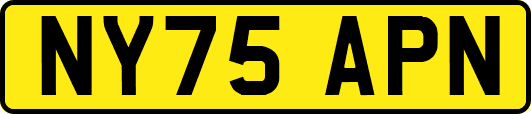 NY75APN