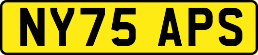 NY75APS