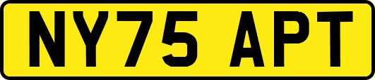NY75APT