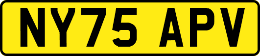 NY75APV