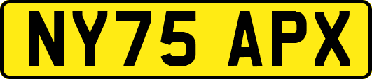 NY75APX
