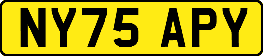NY75APY