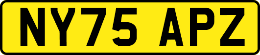 NY75APZ