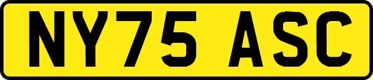 NY75ASC