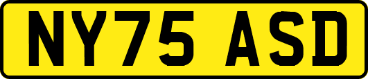 NY75ASD