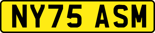 NY75ASM