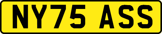 NY75ASS