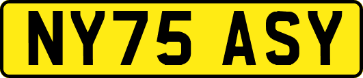 NY75ASY