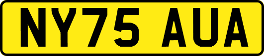NY75AUA