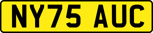 NY75AUC