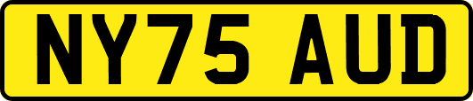 NY75AUD