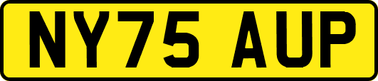 NY75AUP