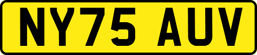 NY75AUV