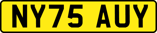 NY75AUY