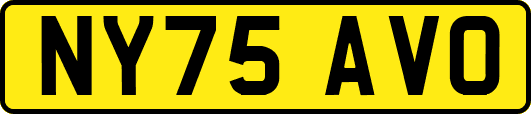 NY75AVO