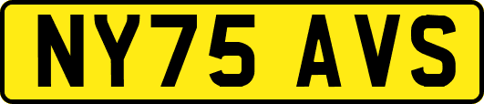 NY75AVS