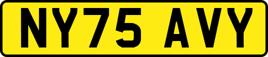 NY75AVY