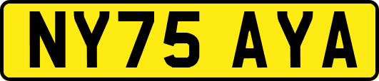 NY75AYA