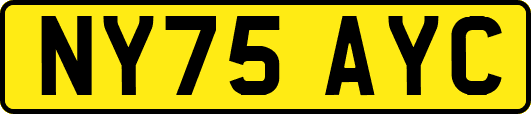 NY75AYC