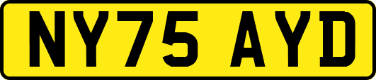 NY75AYD