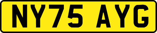 NY75AYG