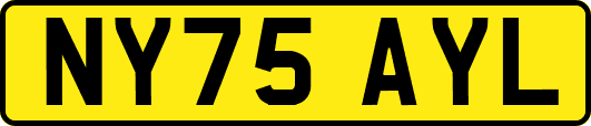NY75AYL