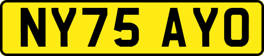 NY75AYO