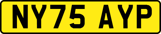 NY75AYP