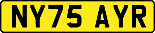 NY75AYR