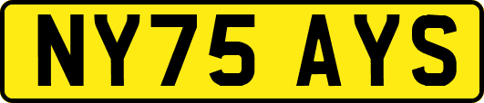 NY75AYS