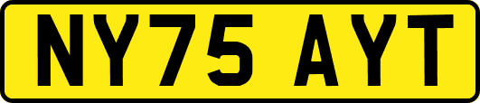 NY75AYT