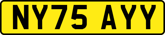 NY75AYY