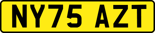 NY75AZT