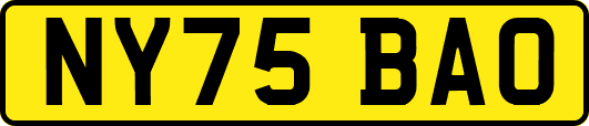 NY75BAO