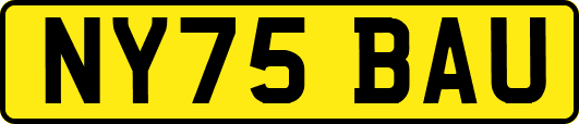 NY75BAU