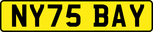 NY75BAY