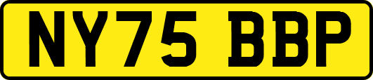 NY75BBP