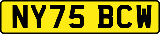 NY75BCW