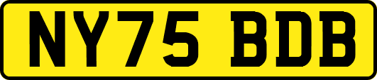 NY75BDB