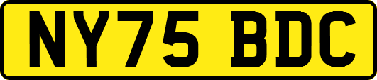 NY75BDC