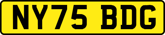 NY75BDG