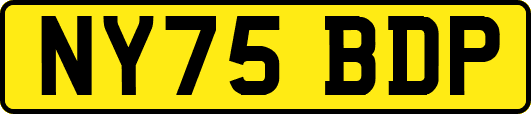 NY75BDP