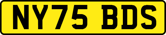 NY75BDS