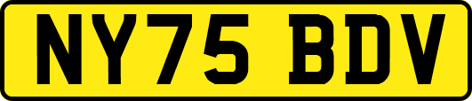 NY75BDV
