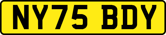 NY75BDY