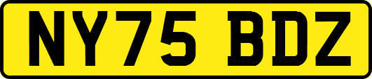 NY75BDZ